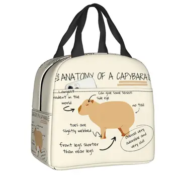 Анатомия Капибары Термоизолированная сумка для ланча Женская Многоразовый контейнер для ланча для детей, школьников, Коробка для хранения продуктов питания