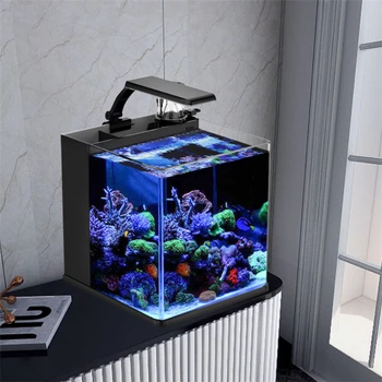 Ультра Прозрачный стеклянный мини-аквариум с морской водой для морских рыбок