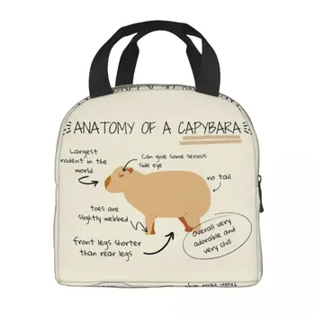 Анатомия Капибары Термоизолированная сумка для ланча Женская Многоразовый контейнер для ланча для детей, школьников, Коробка для хранения продуктов питания 1