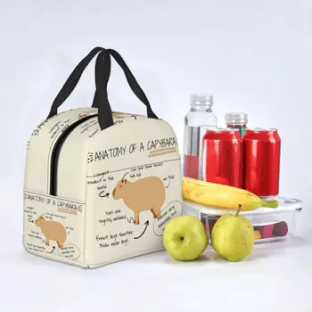 Анатомия Капибары Термоизолированная сумка для ланча Женская Многоразовый контейнер для ланча для детей, школьников, Коробка для хранения продуктов питания 3